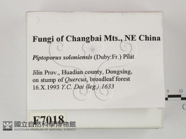 登錄號:F0007018藏品圖，第2張