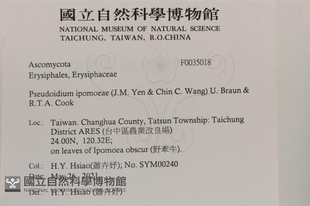 登錄號:F0035018藏品圖，第2張