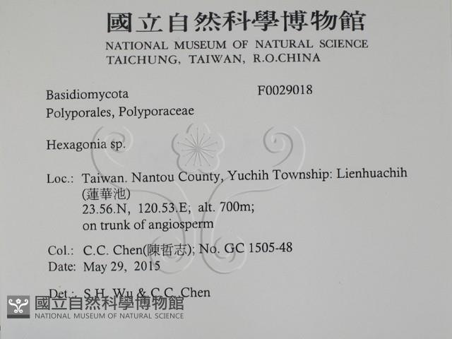 Accession Number:F0029018 Collection Image, Figure 2, Total 2 Figures