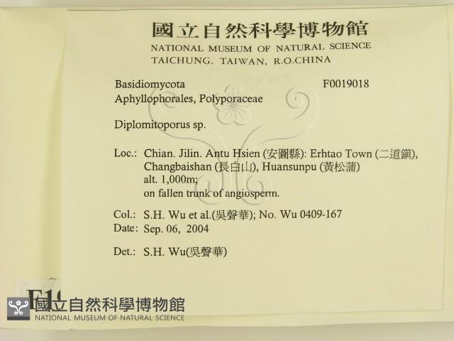 登錄號:F0019018藏品圖，第2張