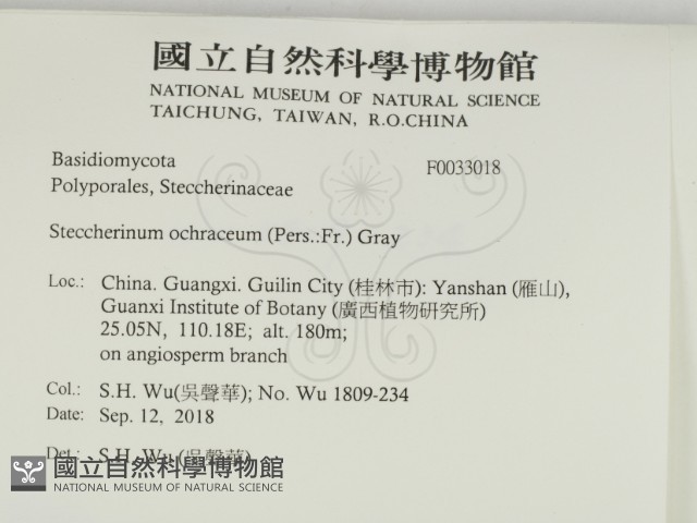 登錄號:F0033018藏品圖，第2張