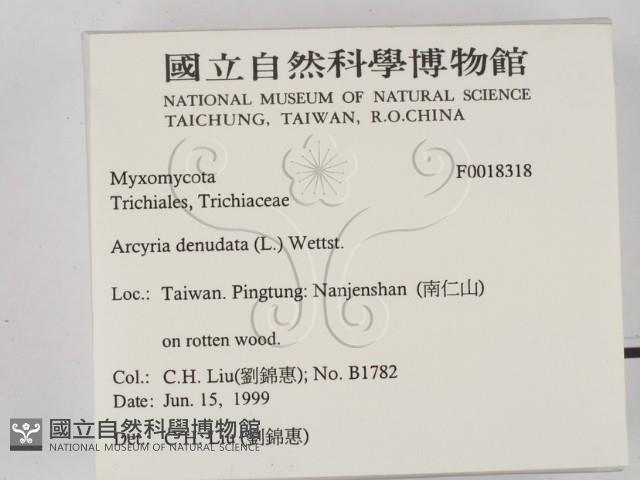 登錄號:F0018318藏品圖，第2張