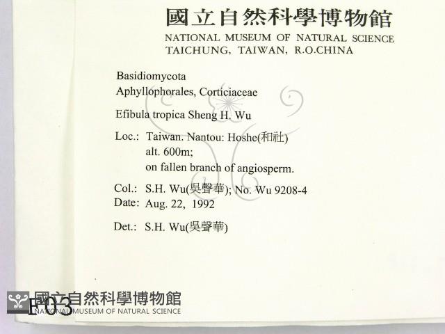 登錄號:F0000318藏品圖，第2張