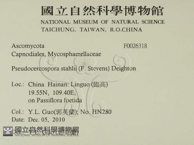 登錄號:F0026318藏品圖，第2張