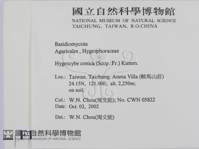 登錄號:F0016318藏品圖，第2張