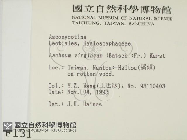 登錄號:F0001318藏品圖，第2張