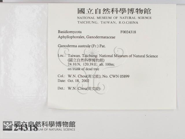 登錄號:F0024318藏品圖，第2張