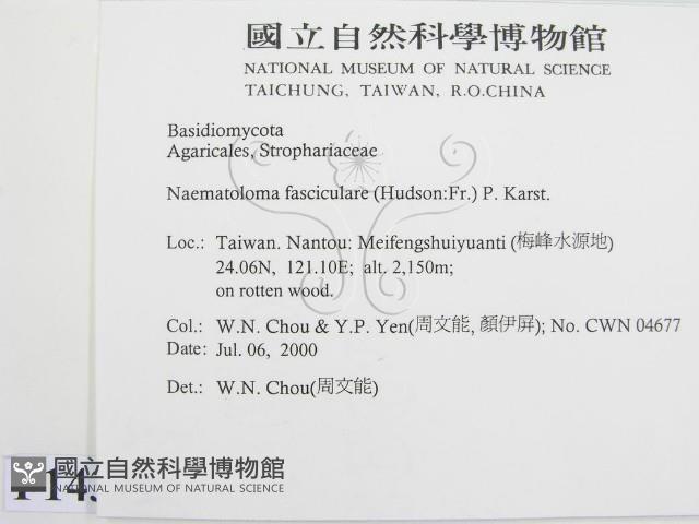 登錄號:F0014318藏品圖，第2張