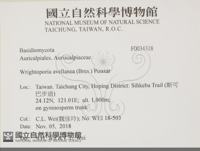 登錄號:F0034318藏品圖，第2張