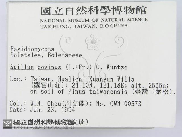 登錄號:F0002318藏品圖，第2張