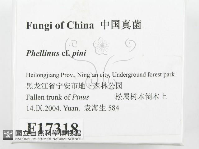 登錄號:F0017318藏品圖，第2張