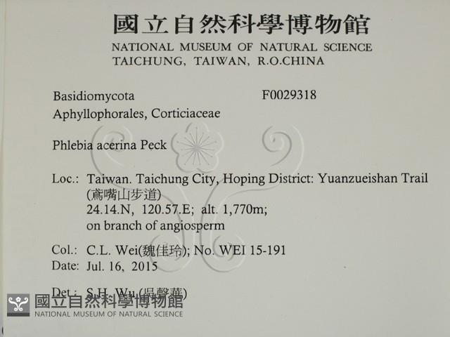 登錄號:F0029318藏品圖，第2張