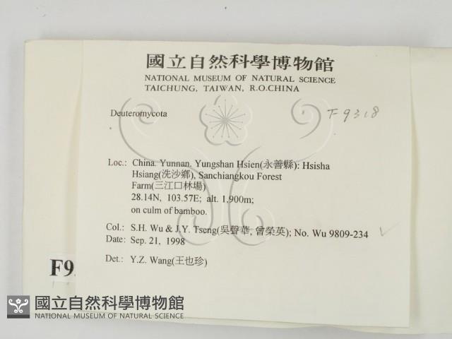 登錄號:F0009318藏品圖，第2張