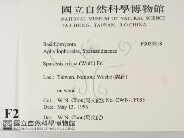 登錄號:F0023318藏品圖，第2張