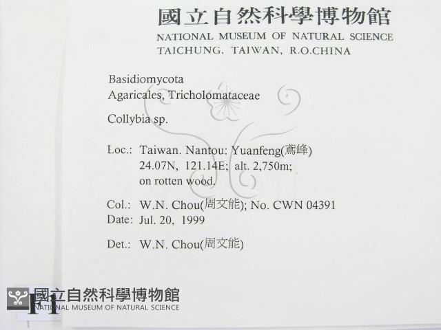 登錄號:F0013318藏品圖，第2張