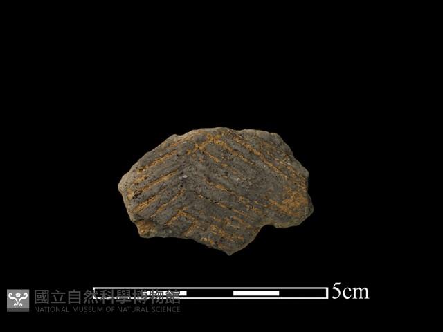 陶片藏品圖，第1張