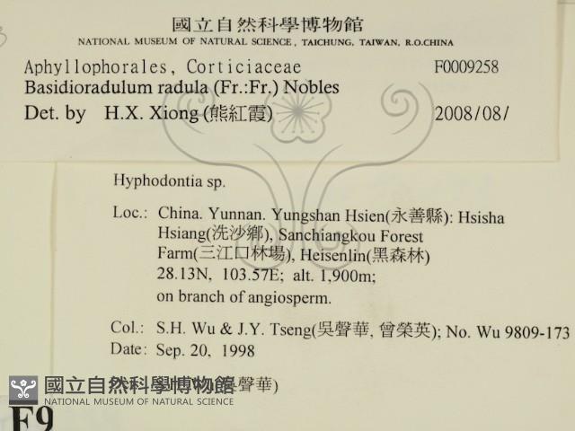 登錄號:F0009258藏品圖，第2張