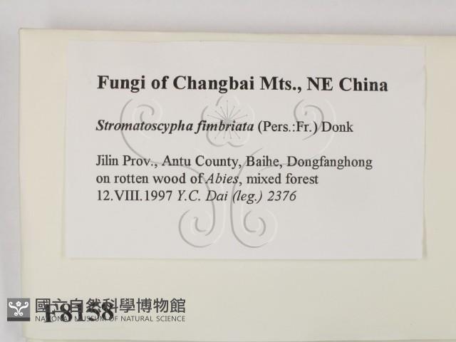 登錄號:F0008158藏品圖，第2張