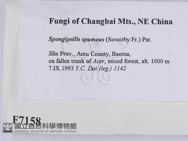 登錄號:F0007158藏品圖，第2張