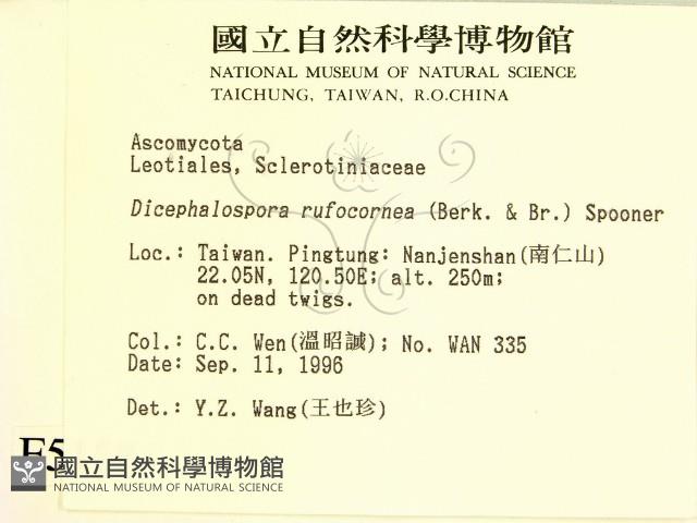 登錄號:F0005158藏品圖，第2張