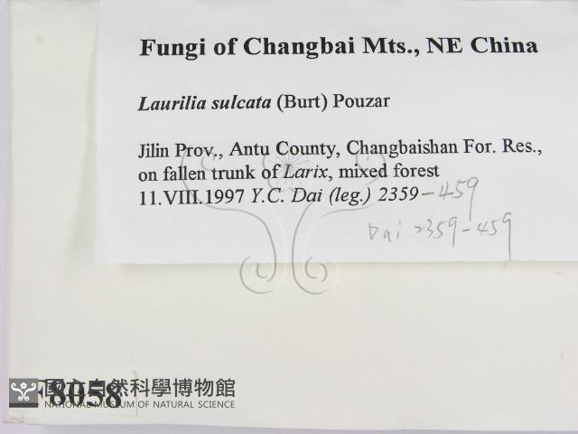 登錄號:F0008058藏品圖，第2張