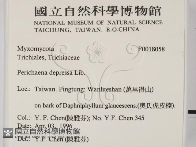 登錄號:F0018058藏品圖，第2張