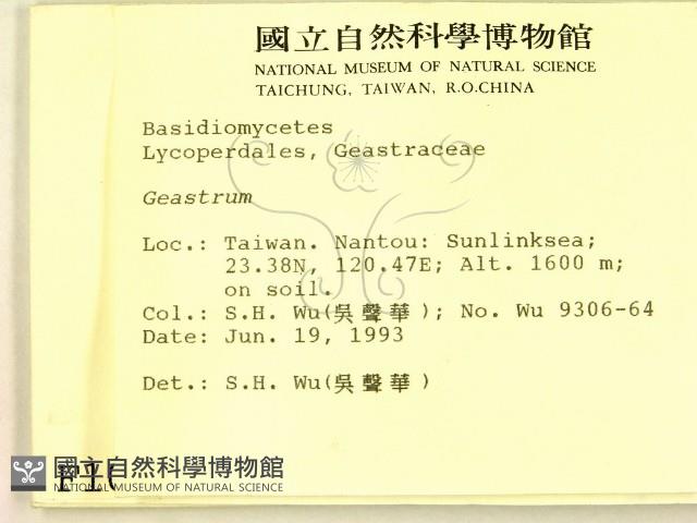 地星屬藏品圖，第2張