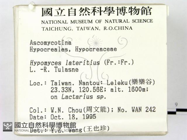 登錄號:F0004058藏品圖，第2張