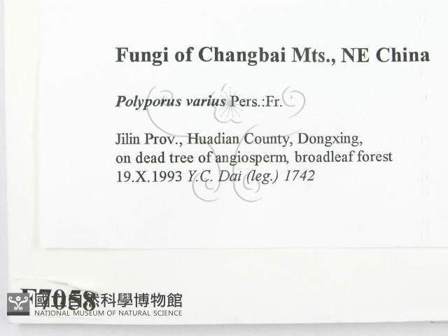 登錄號:F0007058藏品圖，第2張