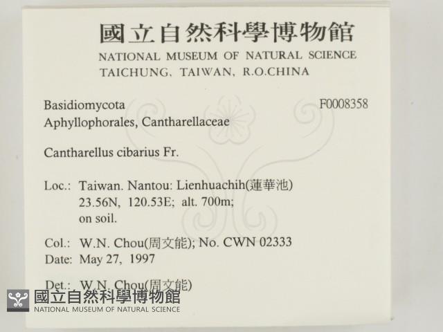 登錄號:F0008358藏品圖，第2張