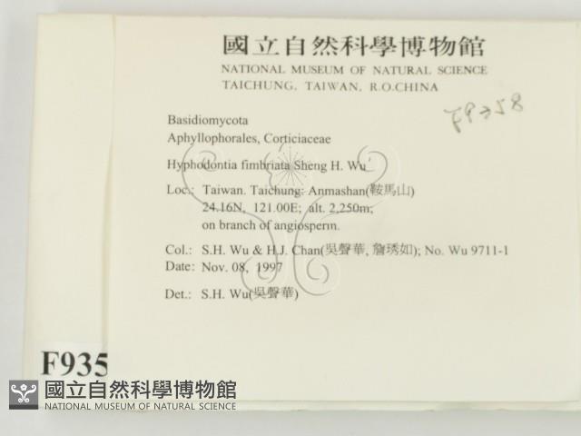 登錄號:F0009358藏品圖，第2張