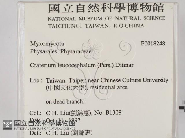登錄號:F0018248藏品圖，第2張