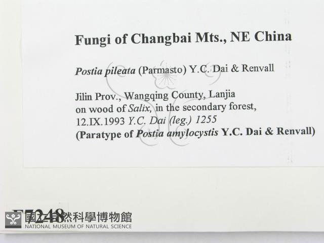 登錄號:F0007248藏品圖，第2張