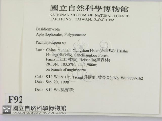 登錄號:F0009248藏品圖，第2張