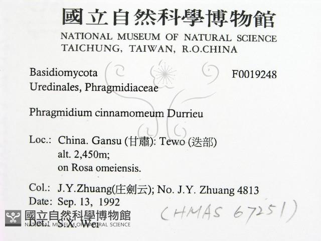 登錄號:F0019248藏品圖，第2張