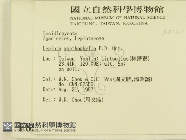 登錄號:F0008548藏品圖，第2張