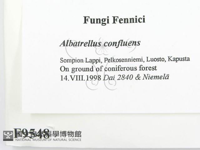 登錄號:F0009548藏品圖，第2張