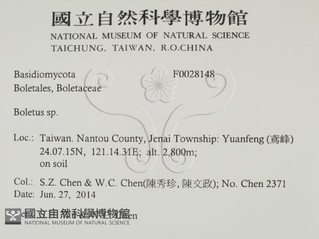 登錄號:F0028148藏品圖，第2張