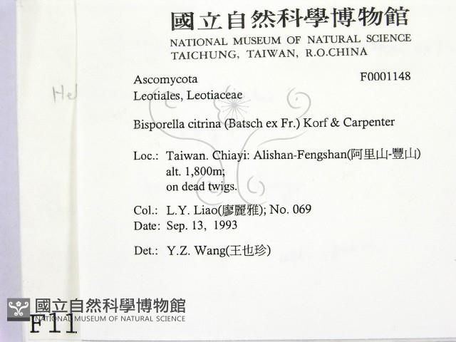 登錄號:F0001148藏品圖，第2張