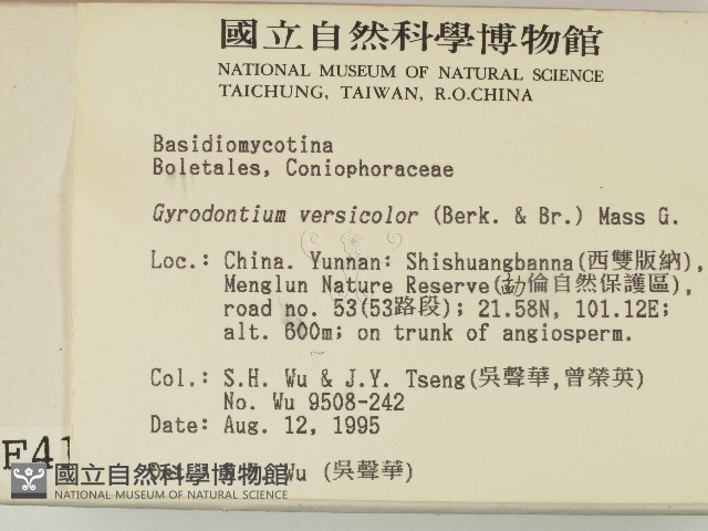 登錄號:F0004148藏品圖，第2張