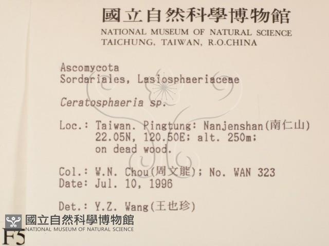 登錄號:F0005148藏品圖，第2張