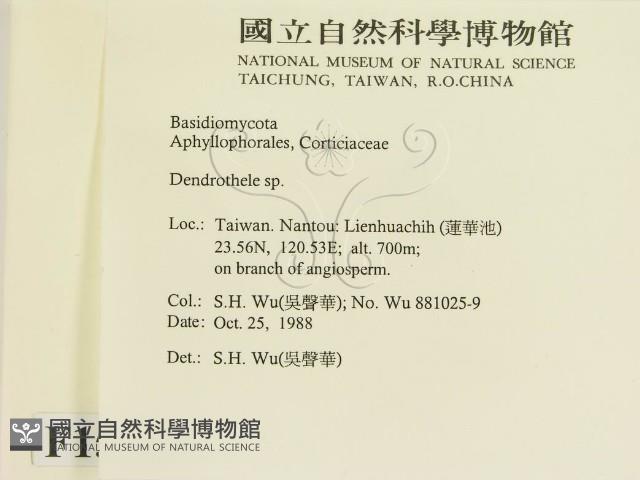 登錄號:F0015148藏品圖，第2張