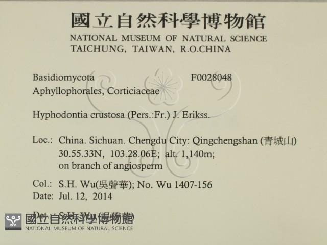 登錄號:F0028048藏品圖，第2張