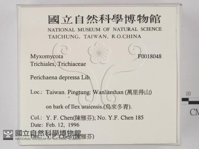 登錄號:F0018048藏品圖，第2張