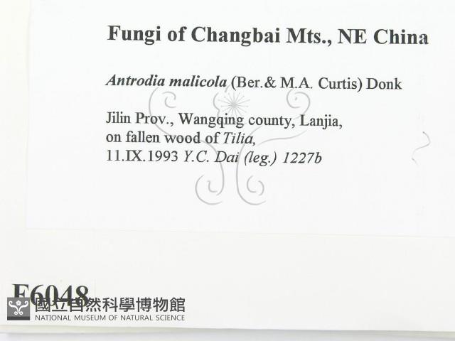登錄號:F0006048藏品圖，第2張