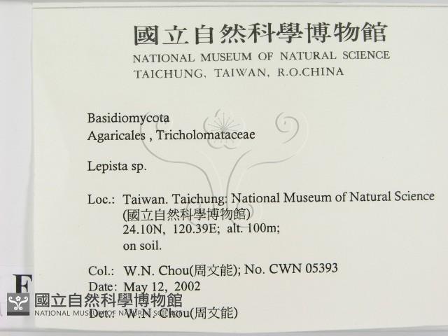 登錄號:F0016048藏品圖，第2張