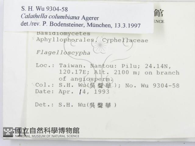 登錄號:F0001048藏品圖，第2張