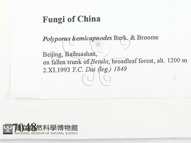 登錄號:F0007048藏品圖，第2張