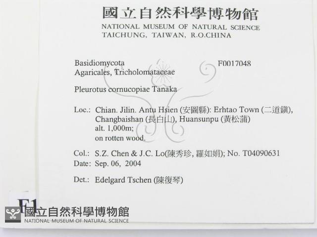 登錄號:F0017048藏品圖，第2張