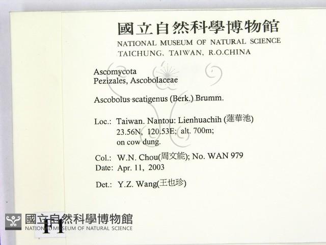 登錄號:F0015048藏品圖，第2張
